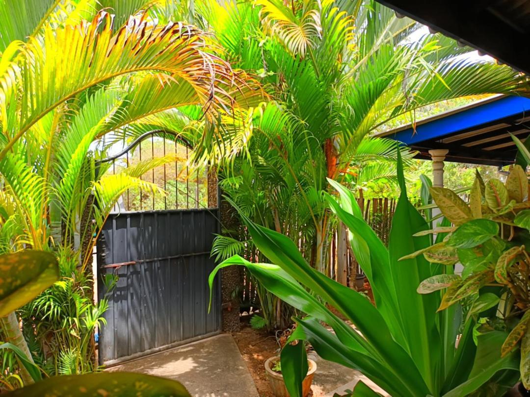 Appartement Pranu House à Nilaveli Extérieur photo