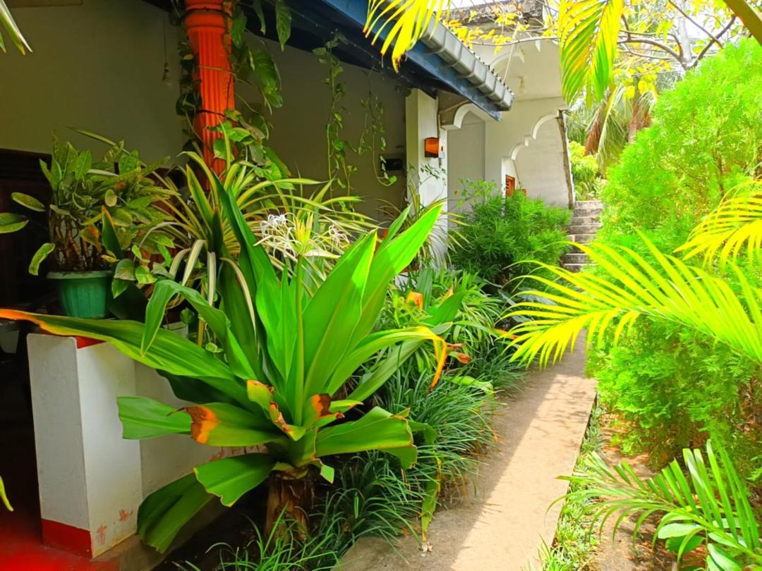 Appartement Pranu House à Nilaveli Extérieur photo
