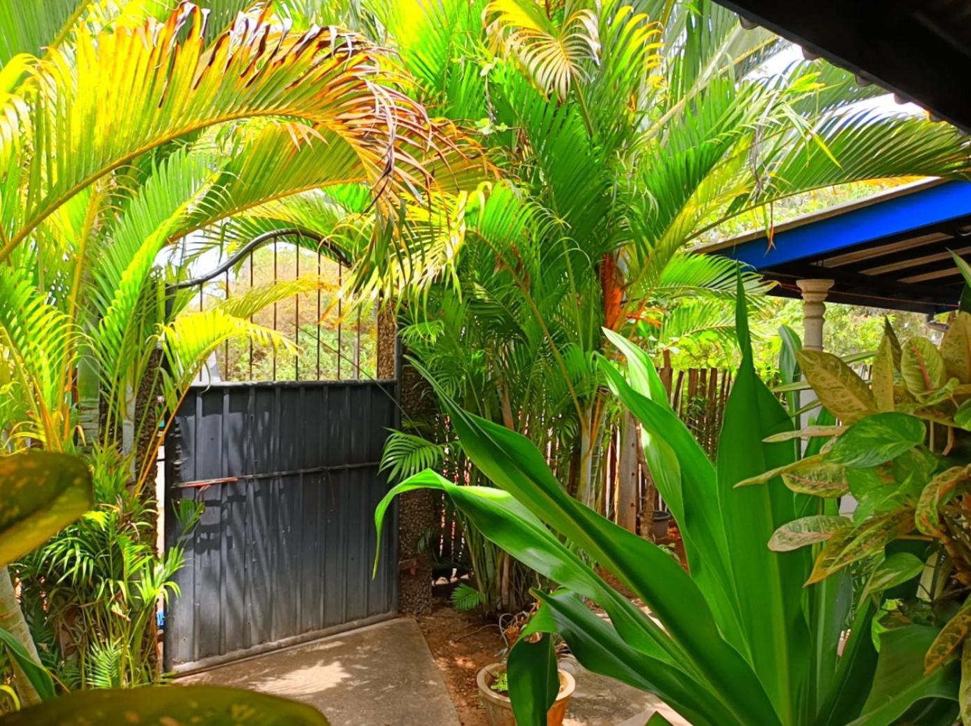 Appartement Pranu House à Nilaveli Extérieur photo