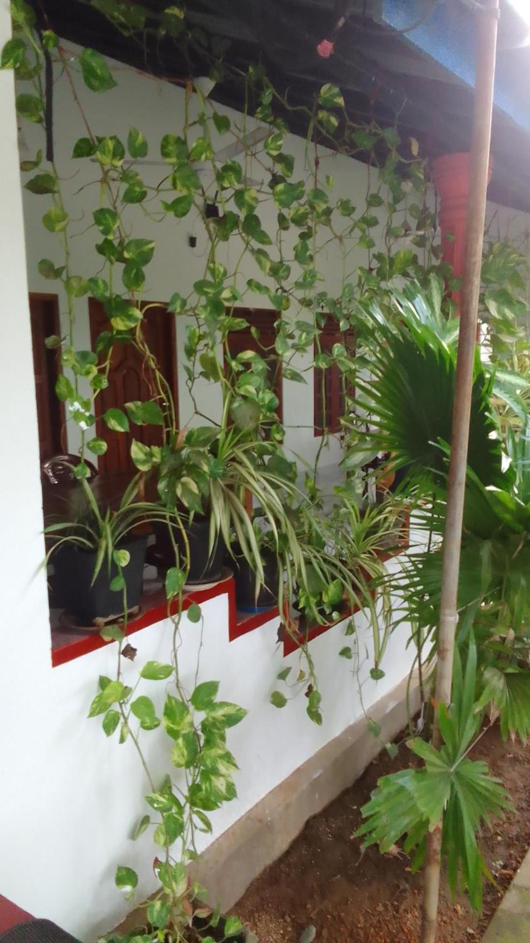 Appartement Pranu House à Nilaveli Extérieur photo