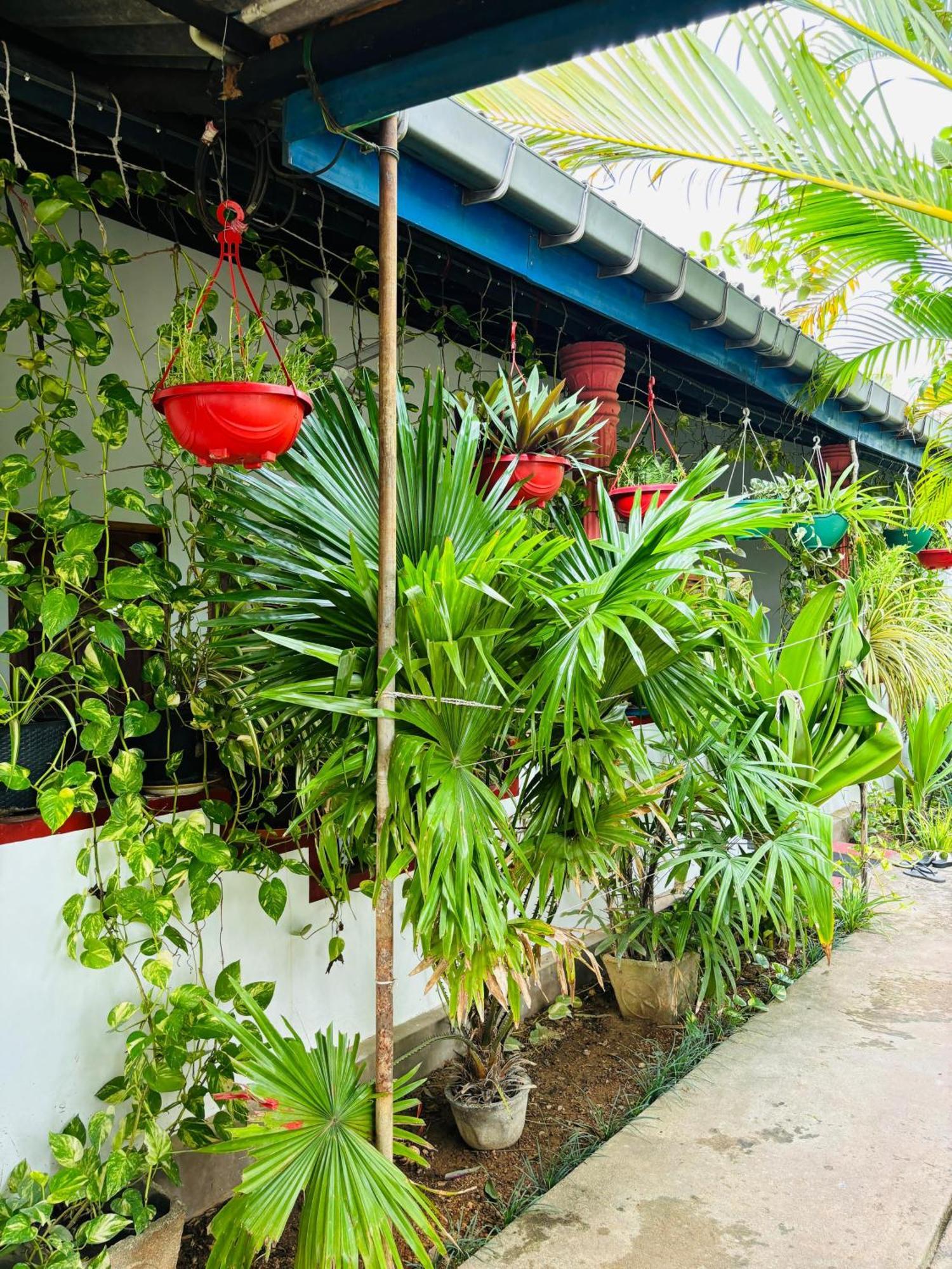 Appartement Pranu House à Nilaveli Extérieur photo